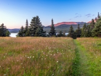 Trout River Campground